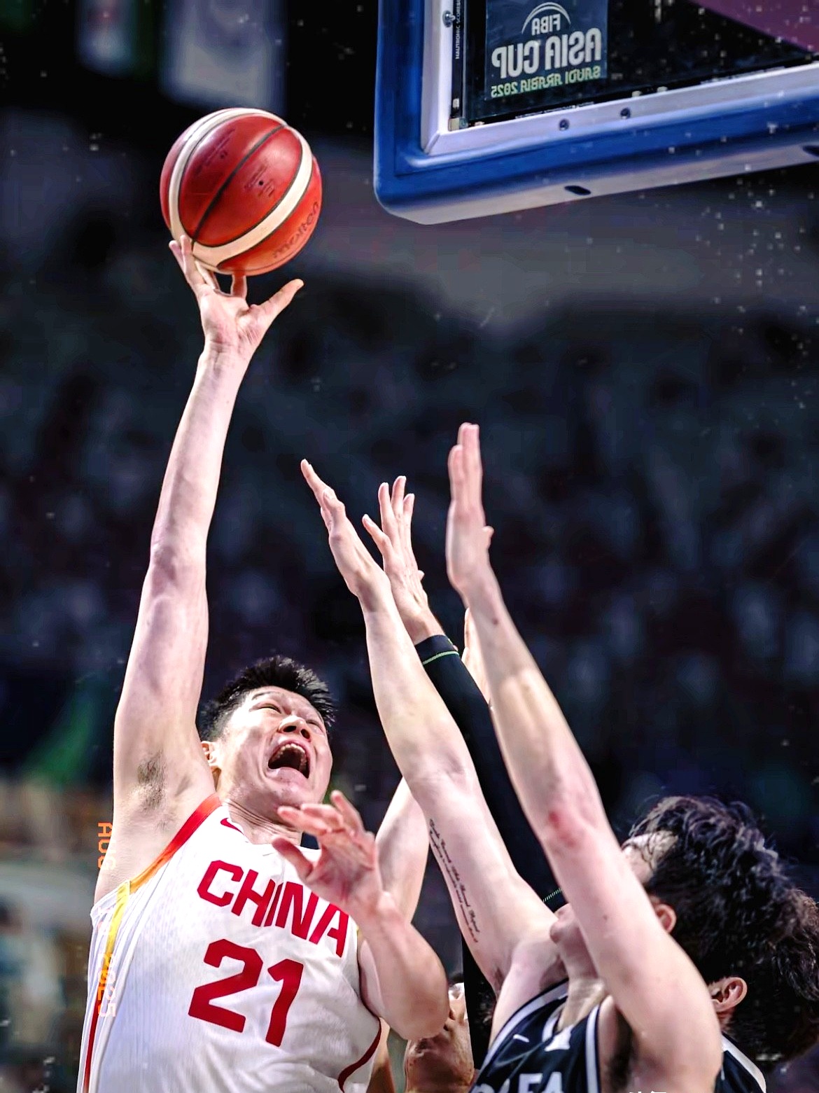 辽宁队碾压天津队，胡金秋点燃赛场