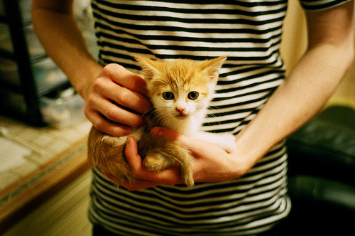 冰与火，当鹈鹕的寒冷遇上詹姆斯的熔炉之夜