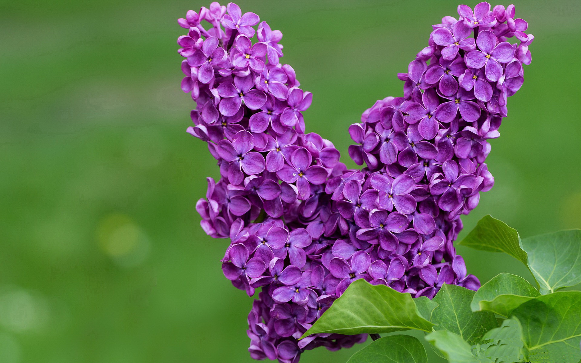 雨战维也纳！哈弗茨闪光时刻助奥地利惊险晋级