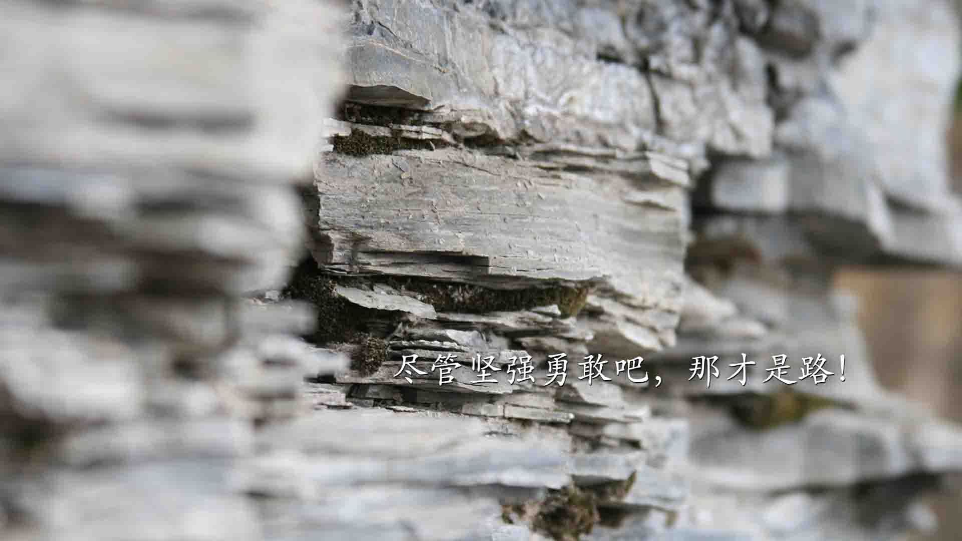 澳网,德约科维奇王冠上唯一不可撼动的明珠,为何墨尔本是他真正的试金石?