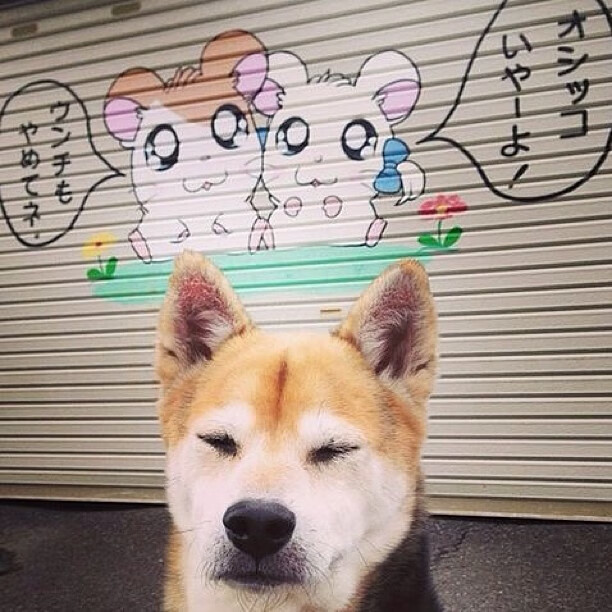 钢与火的诗篇,当「克莱」在阿布扎比划出无人可挡的进攻轨迹