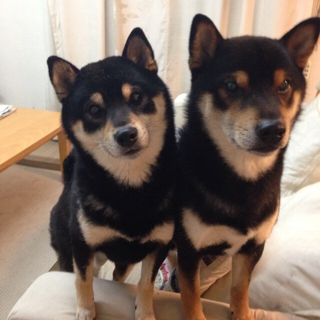 决胜局的光与影，卢卡库一剑封喉，加纳撕裂克罗地亚的黄昏防线