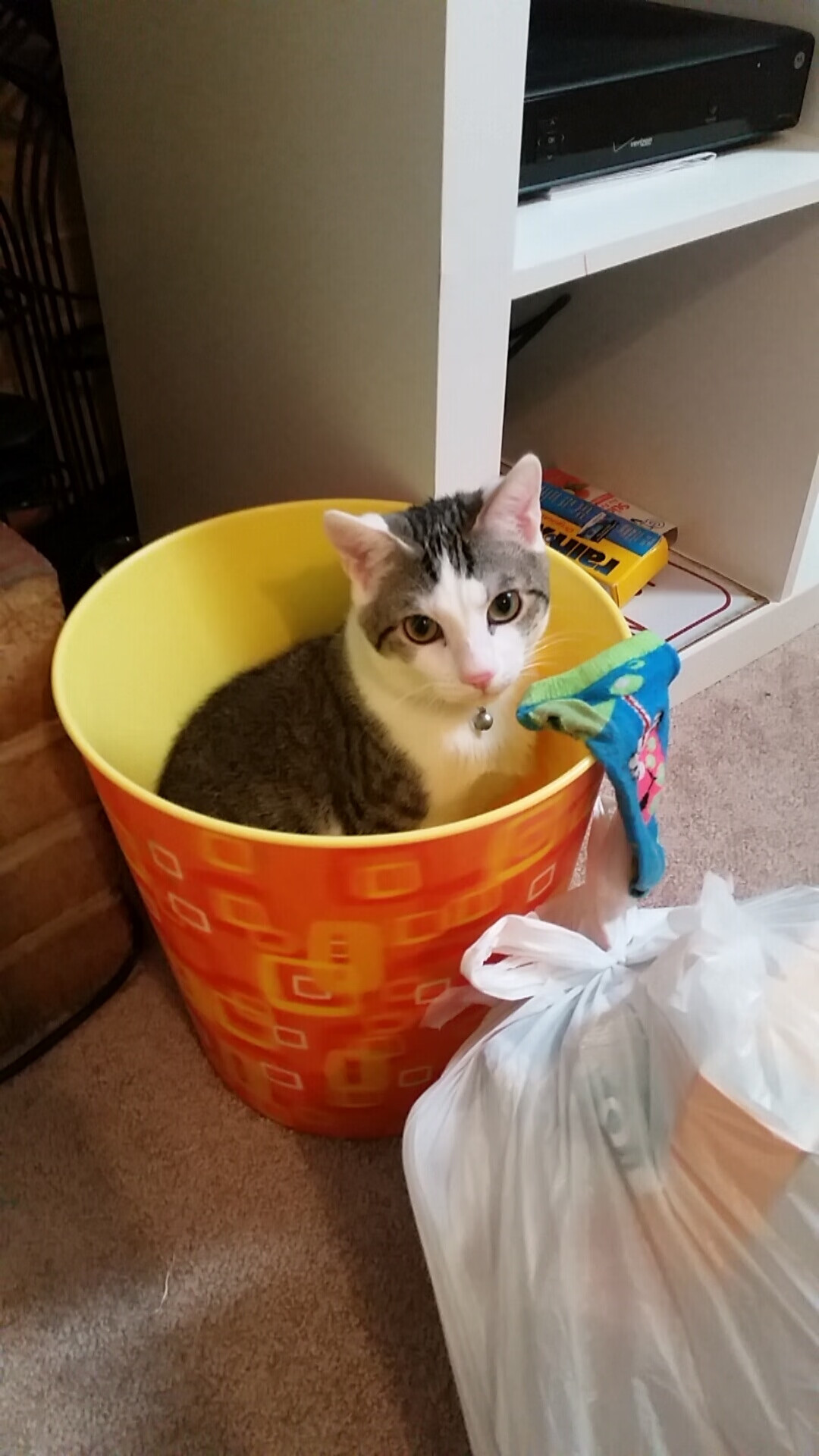 战术为王，巨星为锋，当热火的哲学遇上杜兰特的掌控力