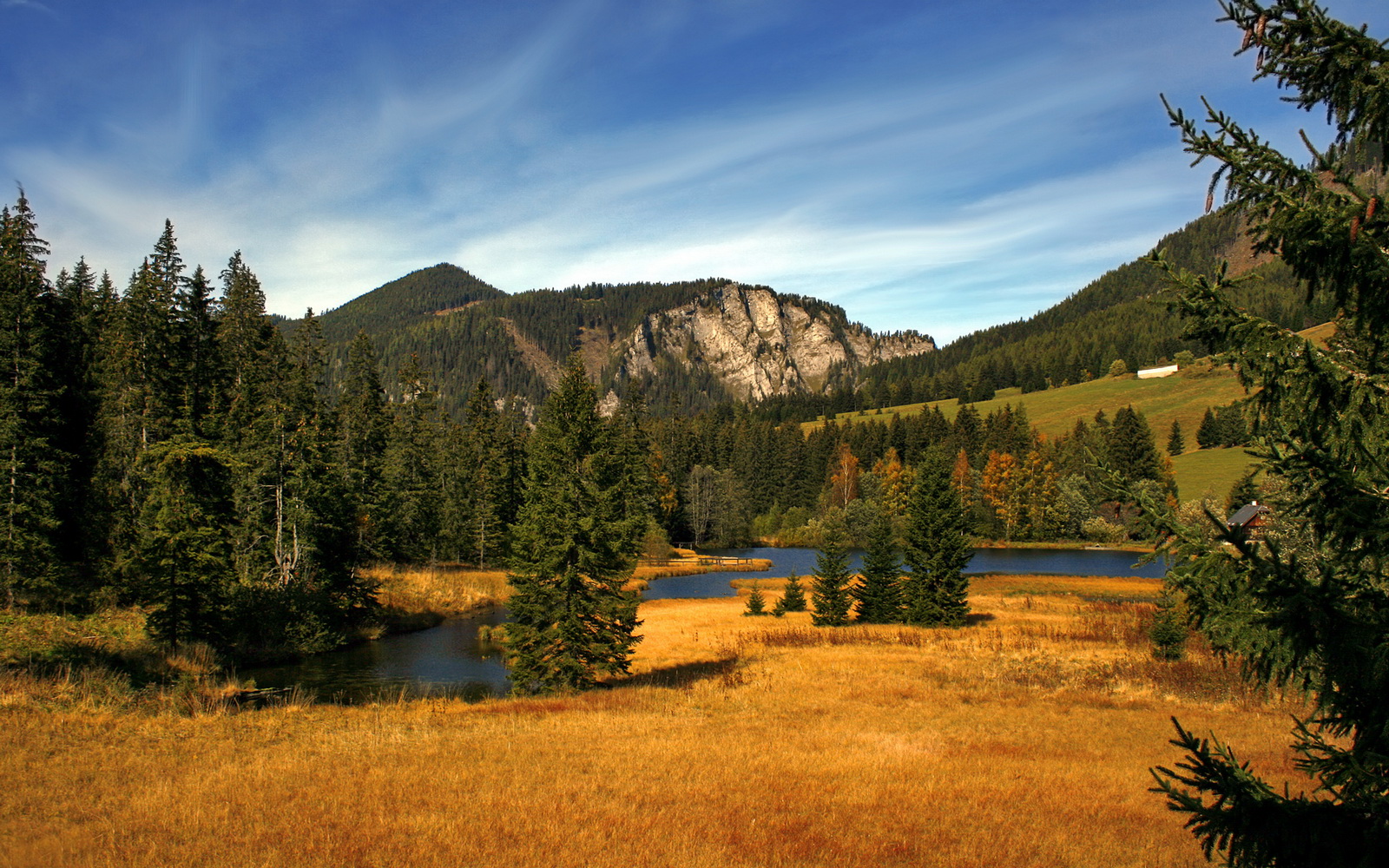 突尼斯之刃斩落黄黑，克瓦拉茨赫利亚在威斯特法伦的唯一性证言