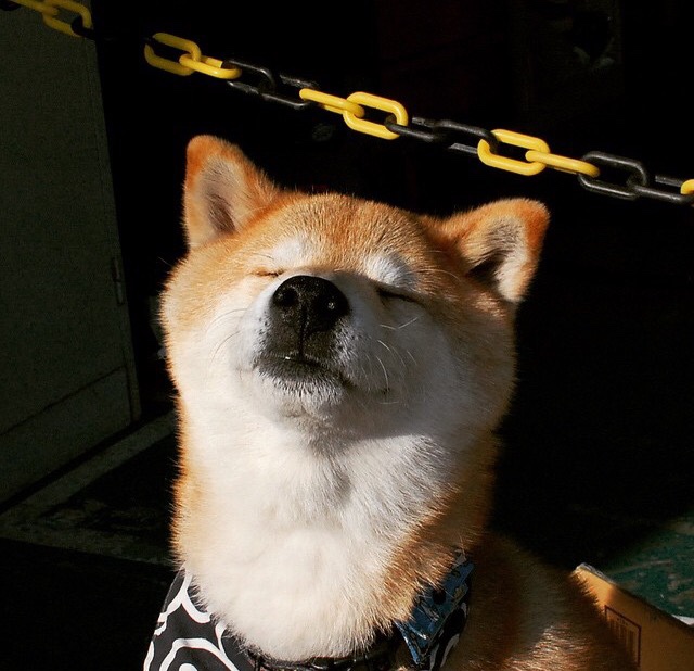 钢铁之墙对波斯铁骑，奥运周期关键战，沙特突围伊朗的终极战术博弈