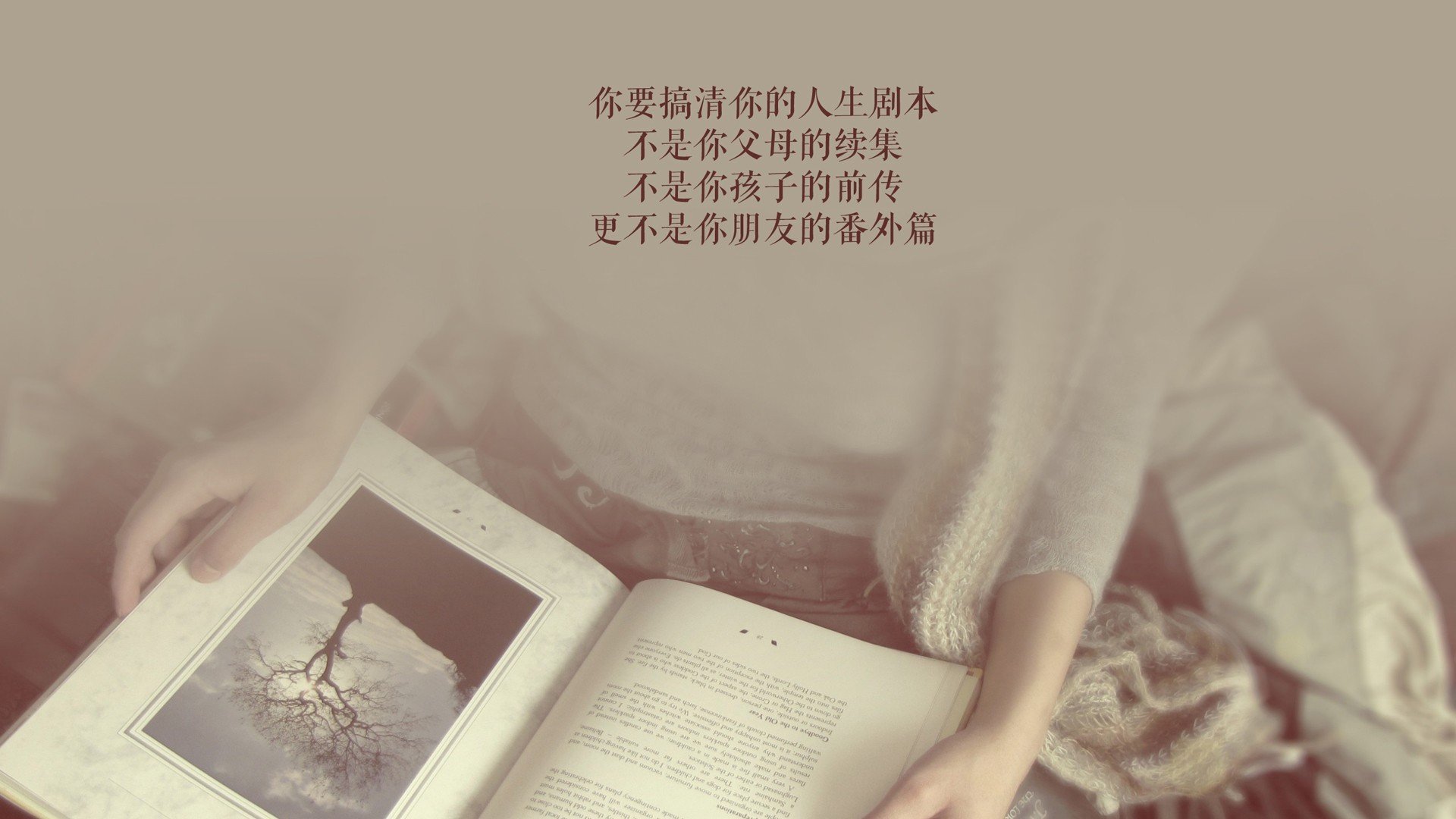中场铁锁定乾坤,托纳利如何成为2026世界杯D组罗马尼亚对葡萄牙一役的胜负手