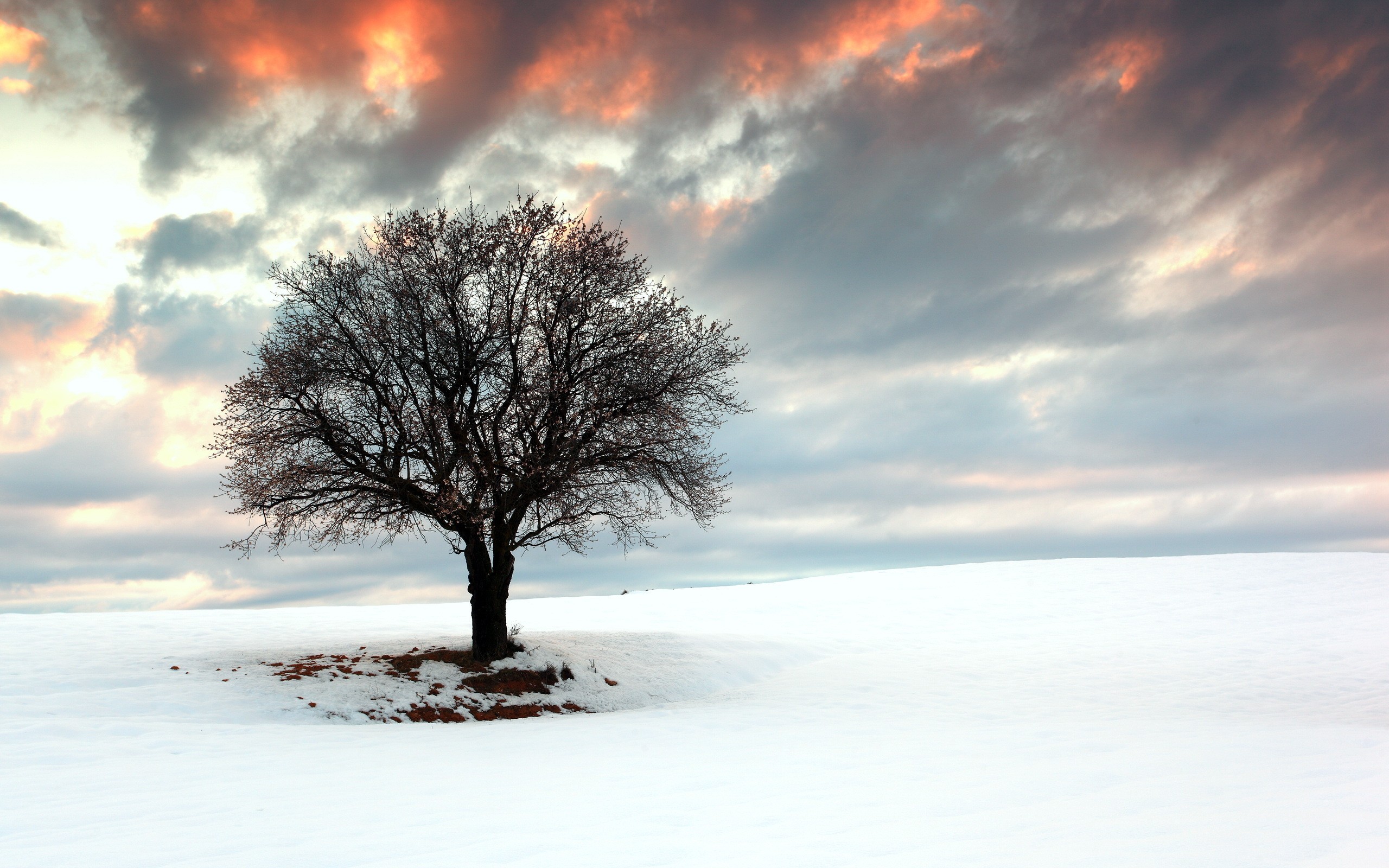 扩展
