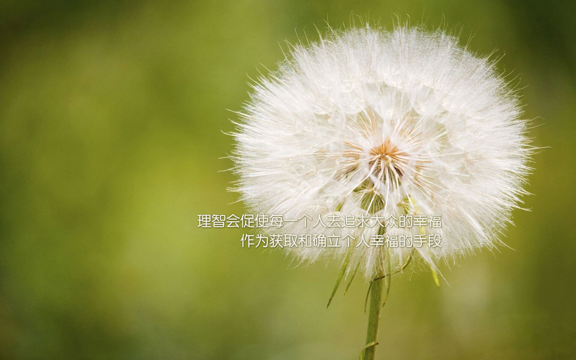 唯一性之场,当2026世界杯的代码在G组写下唯一解—姆巴佩与美国命运的黄金交叉
